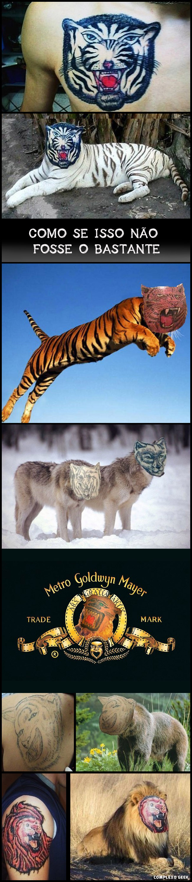 0 a escolha bem tatuador