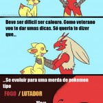 conselhos para um iniciante