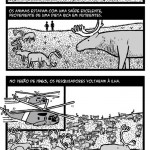 0 ilha de sao mateus