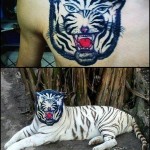 0 a tigre tatoo