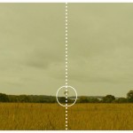 A simetria perfeita no cinema